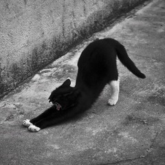 伸懒腰