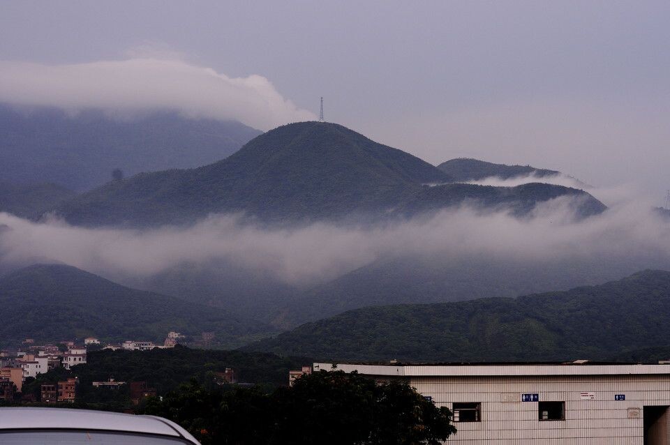 广东高州荔枝园的外景<br />
