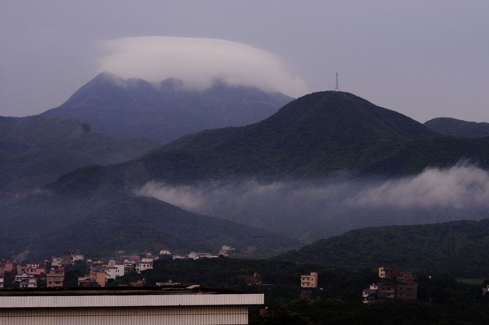 广东高州荔枝园外景2<br />
