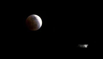 DSC_26512.jpg