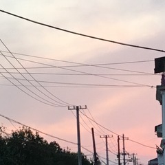 569D6B67-11A1-42C3-97D5-8747C54463DD/L0/001