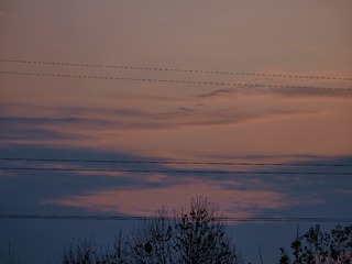 4266567
