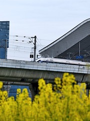 4275120
