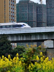 4275117