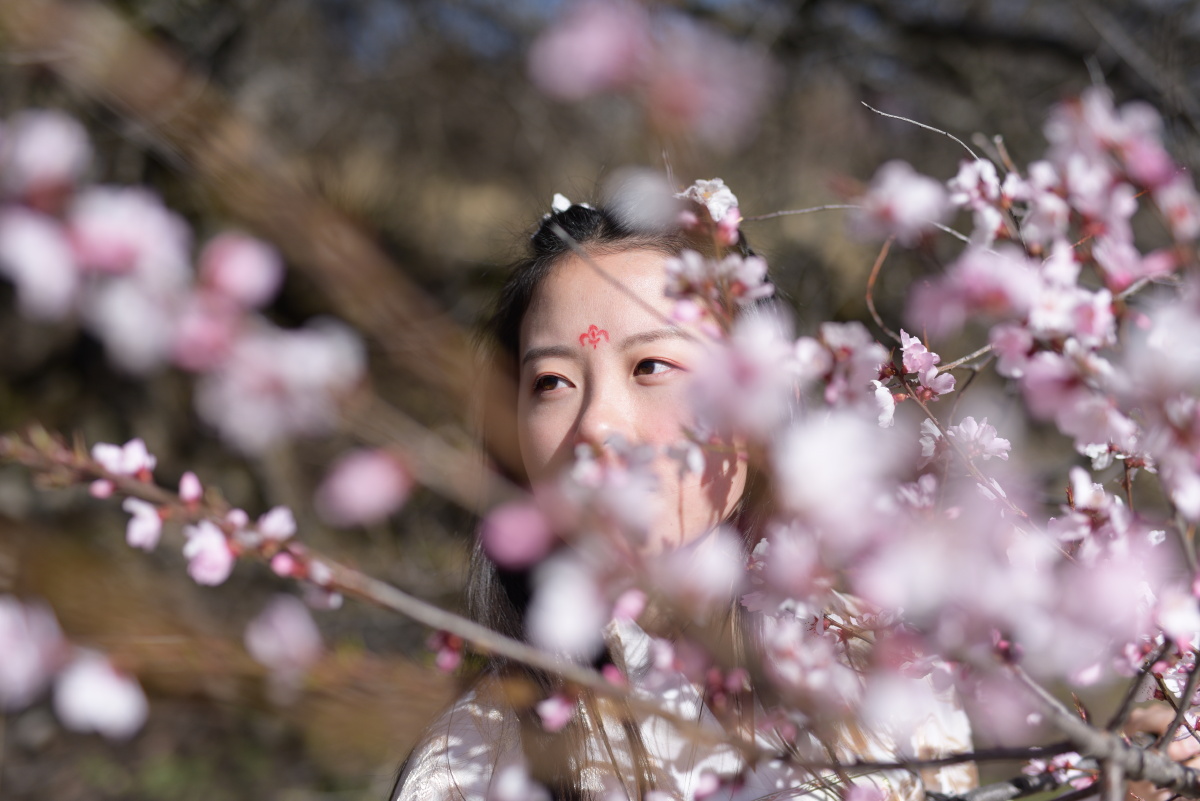 西藏林芝,桃花仙子…… - 拉扎诺布 - 图虫