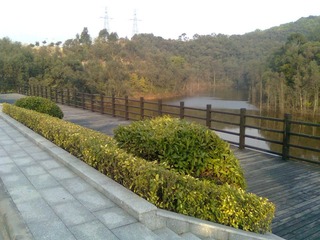 照片0527.jpg