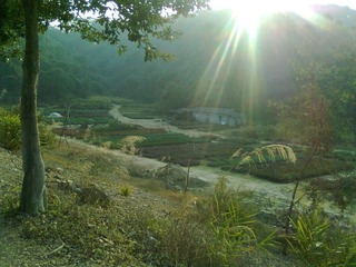 照片0535.jpg