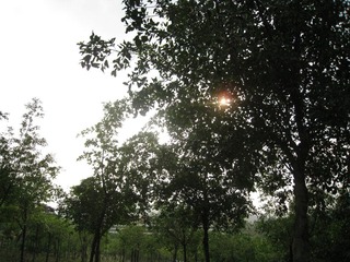 IMG_0288.JPG