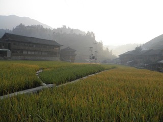 PA030609.JPG