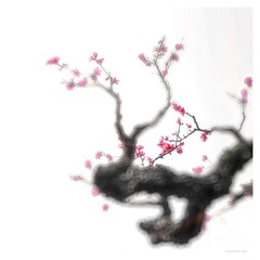 817B807A-3AF0-499F-A430-E1A5DD46D0DA/L0/001