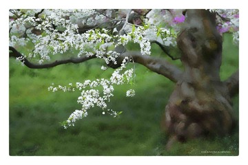 3F5DCAF4-A311-440C-A9C8-09C45EFDE23F/L0/001