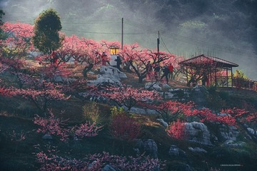 A30EE4D4-065F-43A7-820B-F3885FD03674/L0/001