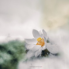 0504458B-EF2F-4452-8814-CD8DDFA3BBE9/L0/001