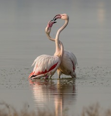 3071570