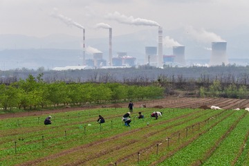 3943418