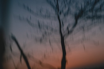 1000001794