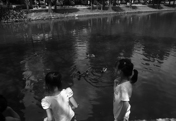 R0040862.JPG