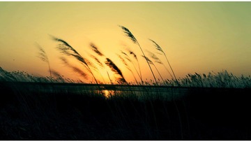 夕阳的时候也是朝阳的时候，只不过带了密度而已。。。。。。