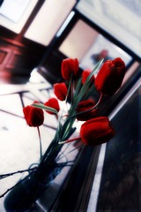孤芳自赏