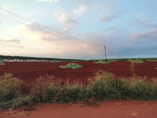 1000015238