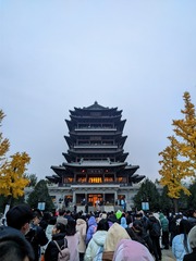 1000055368