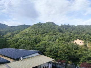 1000005051