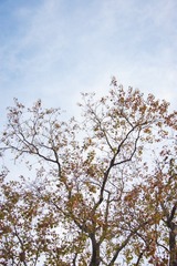 1203084