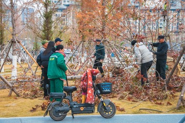1203082
