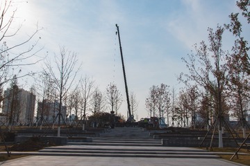 1203074