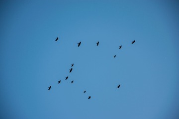1202588