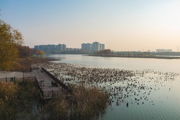 1203060