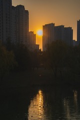 1203068