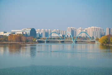 1203039