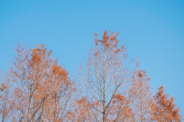 1203029