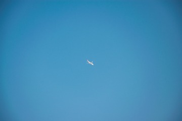 1203035