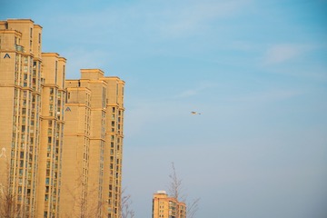 1202831