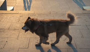 1203063