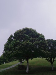 20034A46-9990-490E-BA74-2BB508B249DD/L0/001