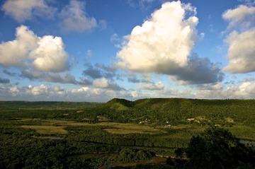 DSC_0498.jpg