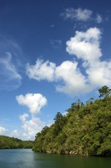DSC_0090.jpg