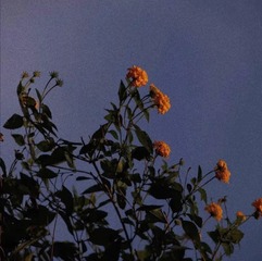894