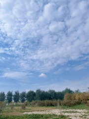 C028655B-3899-4B58-ABEF-D74B07A86475/L0/001