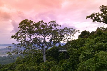 预告片