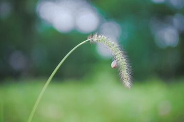 0C6A9980-2