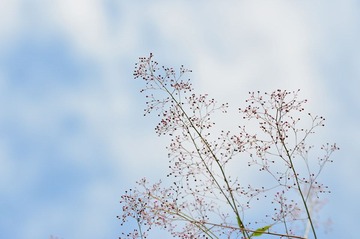DSC_5709.jpg