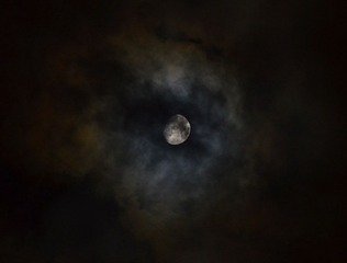 DSC_5595.jpg
