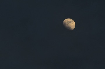 DSC_5552.jpg