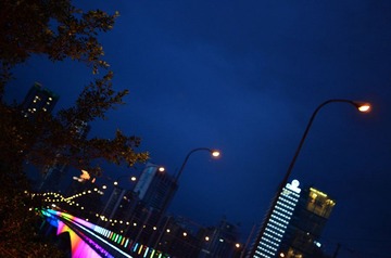 DSC_5586.jpg