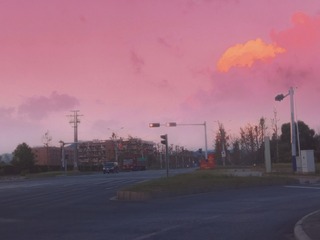 3829331