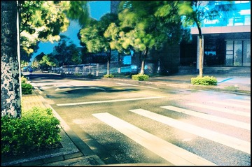 雨夜狂风不止